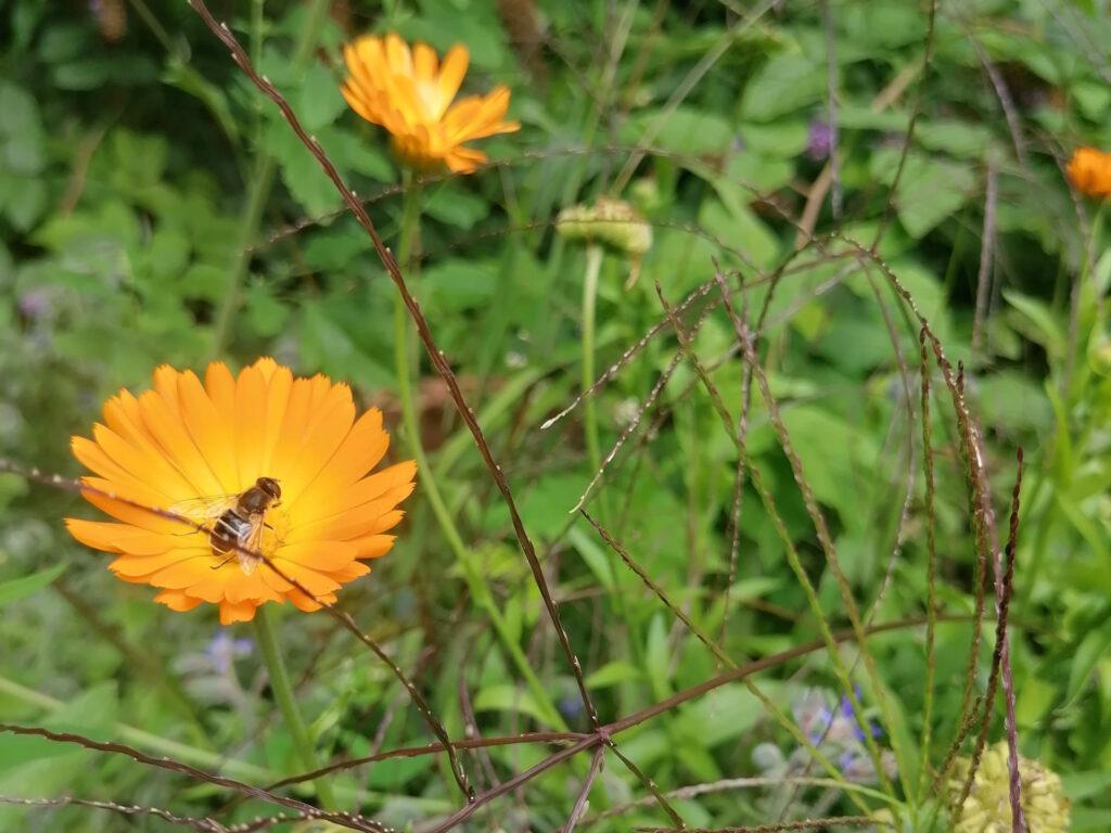 Insektenhotels © nachhaltig-shoppen-blog