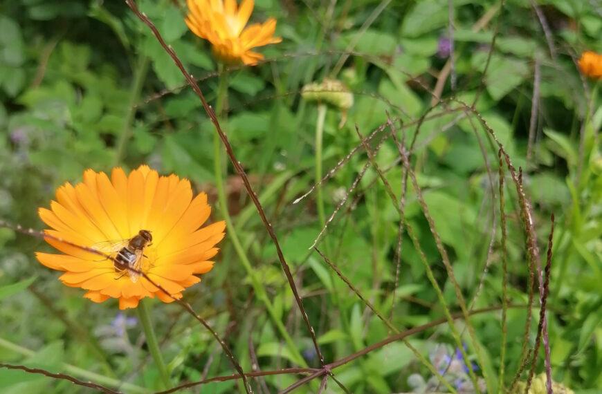 Insektenhotels © nachhaltig-shoppen-blog